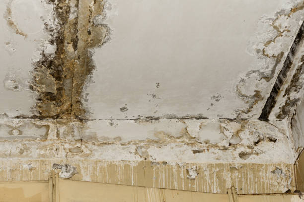Best Airborne Mold Testing  in Tulsa, OK